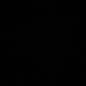 Meet your Posher, Jeremy